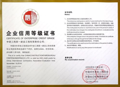 中建三局一公司 连续两年跻身中国对外承包工程营业额百强，彰显国际工程实力