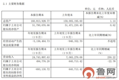 规则与责任的警示 园城黄金实控人未披露质押遭通报批评启示录